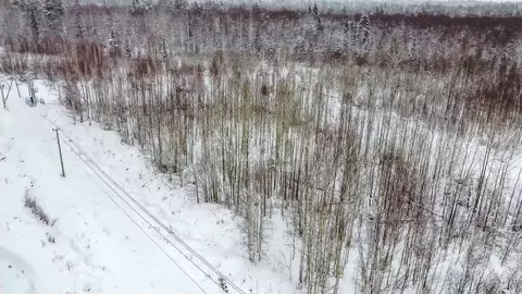 Участок в Ленинградская область, Всеволожский район, Щегловское с/пос, ...