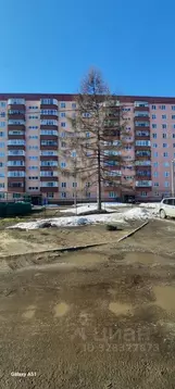 2-к кв. Пермский край, Пермь ул. Богдана Хмельницкого, 11/2 (54.0 м)