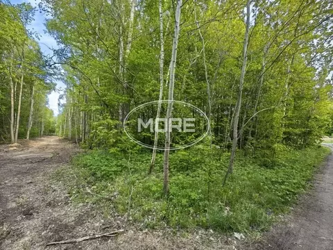 Участок в Калининградская область, Гвардейский муниципальный округ, ...