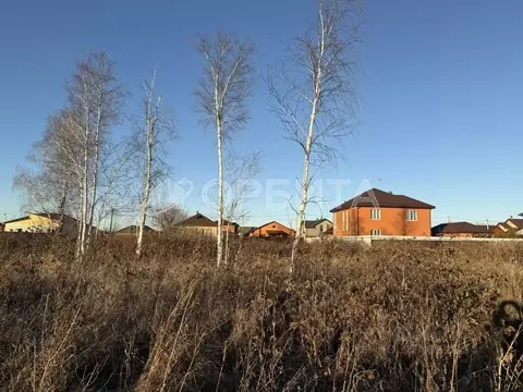 Участок в Тюменская область, Тюмень ул. Изобильная, 29к1 (8.0 сот.)