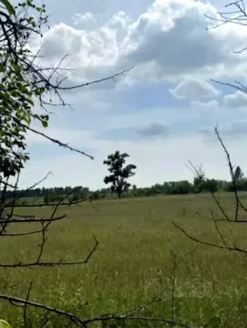 Участок в Хакасия, Усть-Абаканский район, с. Зеленое ул. Братская ...