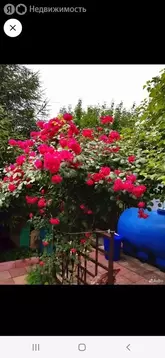 Участок в Мясниковский район, Большесальское сельское поселение, СНТ ...