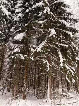 Участок в Московская область, Волоколамский муниципальный округ, ...