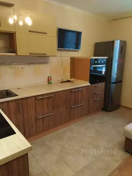 Студия Московская область, Домодедово Южный мкр, ул. Курыжова, 16 ...