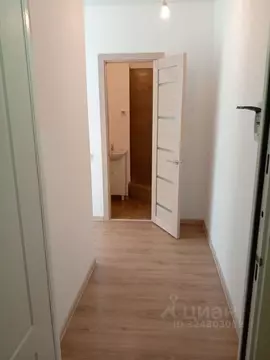 Студия Тверская область, Тверь ул. Медовая, 9к4 (17.3 м)