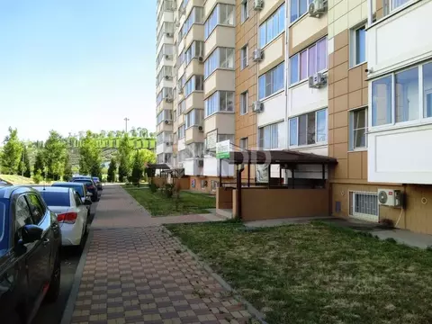 Помещение свободного назначения в Краснодарский край, Краснодар ул. ...