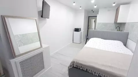 Студия Пермский край, Пермь ул. Пушкина, 13 (17.0 м)