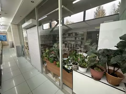 Офис в Ямало-Ненецкий АО, Новый Уренгой Юбилейная ул., 5 (27 м)