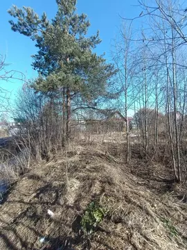 Участок в Ленинградская область, Тосненский район, Красноборское ...