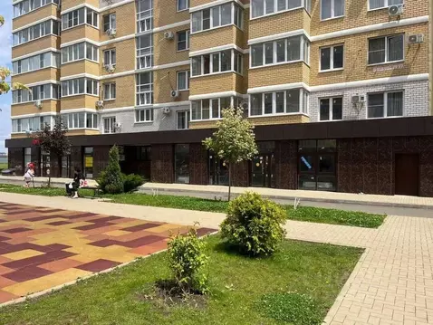 Помещение свободного назначения в Краснодарский край, Краснодар ул. ...