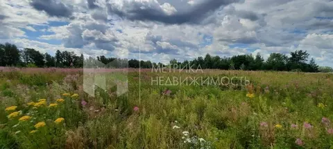 Участок в Тюменская область, Тюмень ул. Ягодная (5.0 сот.)