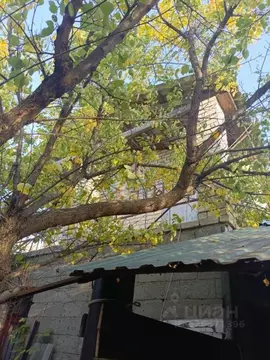 Дом в Саратовская область, Энгельсский район, Красноярское ...