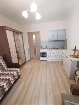 Студия Ленинградская область, Кудрово г. Всеволожский район, Заневское ...