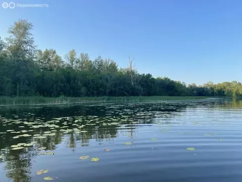 Участок в Красноармейский район, село Криволучье-Ивановка (173.9 м)