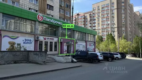 Торговая площадь в Самарская область, Самара Революционная ул., 75 (60 ...
