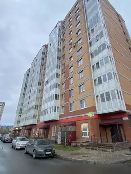 1-к кв. Ленинградская область, Гатчинский муниципальный округ, д. ...