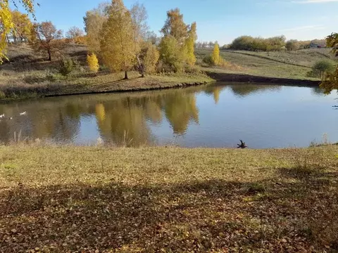 Дом в Башкортостан, Благоварский район, с. Тан ул. Коммуны, 35 (59 м)