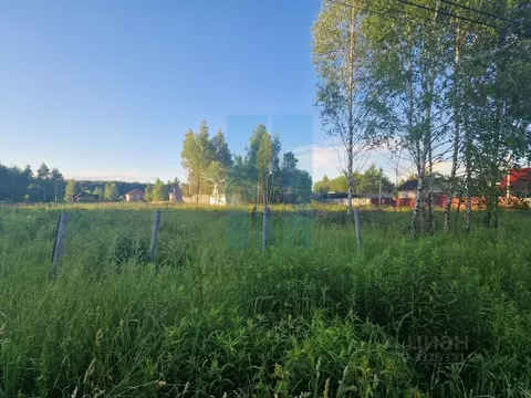 Участок в Московская область, Чехов муниципальный округ, д. Манушкино ...