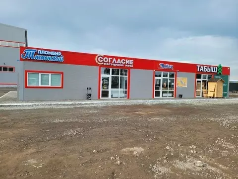 Помещение свободного назначения в Тюменская область, Тюмень Старый ...