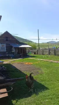 Дом в Алтай, Шебалинский район, с. Камлак Партизанская ул. (40 м)