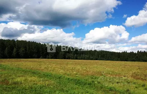 Участок в Московская область, Можайский муниципальный округ, ...