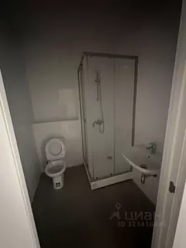 Студия Московская область, Люберцы городской округ, Мирный пгт ул. ...