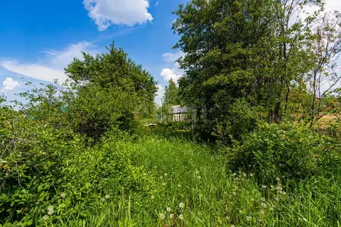 Участок в Тюменская область, Тюмень Ручеек СНТ, ул. Рябиновая (5.84 ...