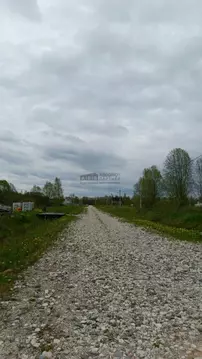 Участок в Новгородская область, Новгородский район, Ермолинское с/пос, ...