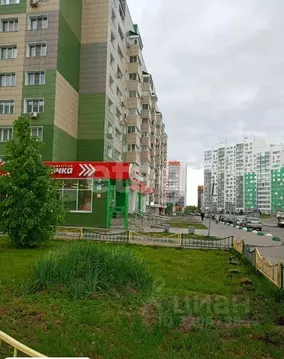 Студия Алтайский край, Барнаул Балтийская ул., 103 (34.3 м)