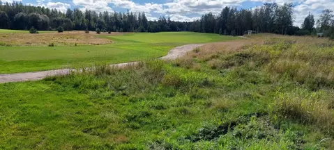 Участок в Ленинградская область, Ломоносовский район, Пениковское ...