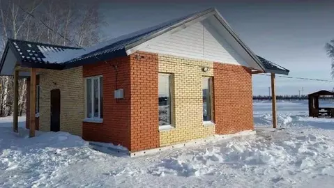 Коттедж в Омская область, Омский район, с. Розовка ул. Новая (69 м)