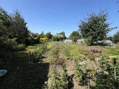 Участок в Брянская область, Брянский район, Снежское с/пос, с. ...