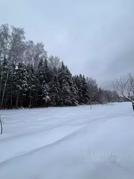 Участок в Московская область, Ступино городской округ, с. Хатунь пер. ...
