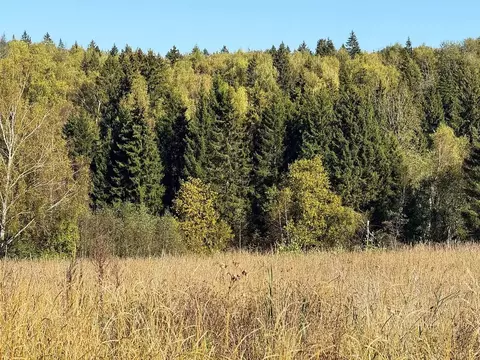 Участок в Московская область, Дмитровский муниципальный округ, ...