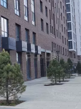 1-к кв. Алтайский край, Барнаул ул. Чернышевского, 189к4 (32.1 м)