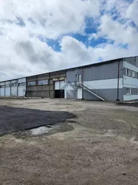 Помещение свободного назначения в Алтайский край, Барнаул Звездная ...