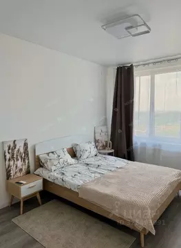 1-к кв. Санкт-Петербург Дальневосточный просп., 19к1 (40.0 м)