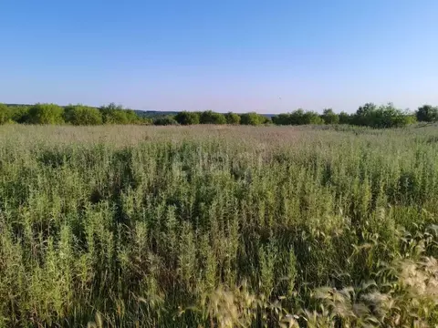 Участок в Амурская область, Благовещенский район, с. Новотроицкое  ...