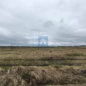 Участок в Пензенская область, с. Бессоновка ул. Кудряшова, 315 (10.0 ...