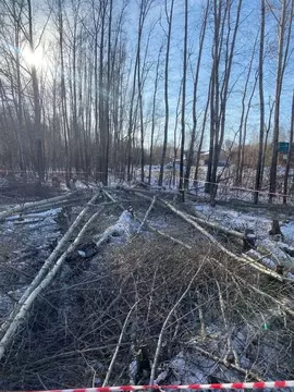 Участок в Новосибирская область, Новосибирск ул. Состязания (7.2 сот.)