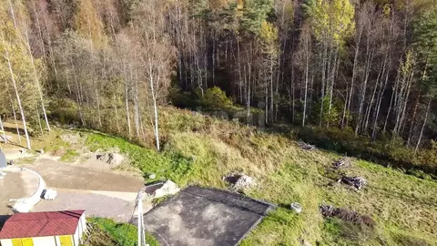 Участок в Ленинградская область, Приозерский район, Севастьяновское ...