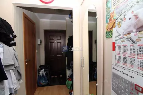 Студия Тюменская область, Тюмень Олимпийская ул., 24 (17.0 м)