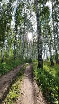 Участок в село Гусиный Брод, Школьная улица (22 м)