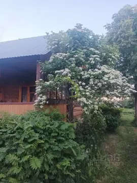 Дом в Самарская область, Сызранский район, пос. Варламово ул. ...