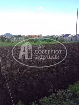 Участок в Пермский край, Чернушинский городской округ, д. Большой ...