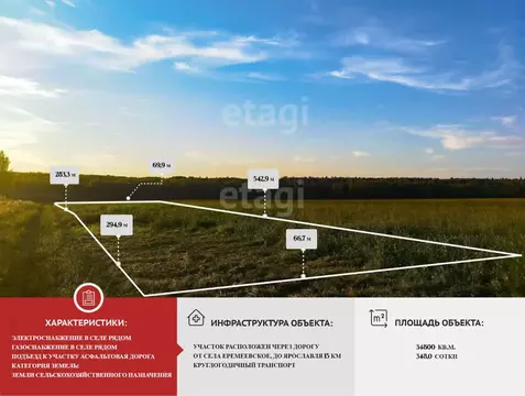 Участок в Ярославская область, Ярославский муниципальный округ, ...