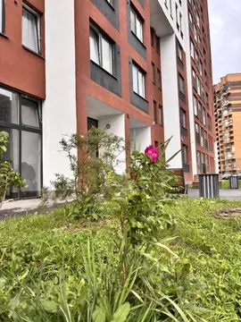 1-к кв. Ленинградская область, Мурино Всеволожский район, ул. Шоссе в ...