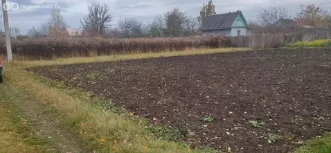 Участок в Толмачево, СДТ Русь (5 м)