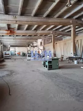 Склад в Курская область, Октябрьский район, Прямицыно муниципальное ...