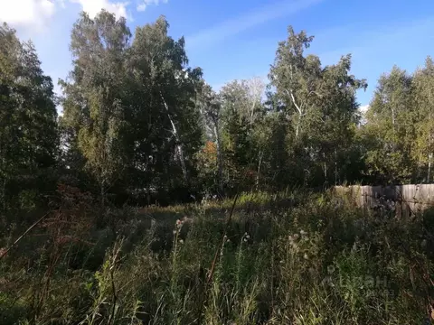 Участок в Курганская область, Кетовский муниципальный округ, д. Лукино ...